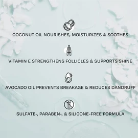 OVERTONE Haircare The Hydrator Moisturizing Shampoo - 8 oz Sulfate-Free Hair Cleanser for All Hair Types - Moisturize and Hydrate with Cruelty-Free Sh