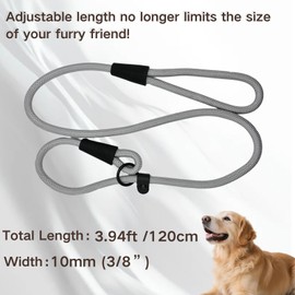 ZOOGHY Heavy Duty Slip Lead Dog Leash for Small, Medium, and Large Dogs, Long Rope Training Leash for Walking, Obedience, and Outdoor Use, Silver