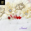 Jini Hwang's handmade nail tips - Long Almond / 황진이