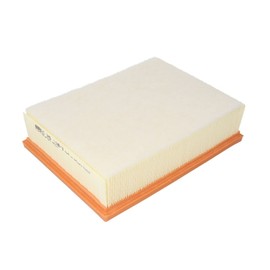 Mann+Hummel C251181 Air Filter