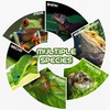 Fischuel Wall Mount Reptile Hide Cave with Food Bowl for