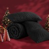 Andency Black Comforter Set Queen, Lightweight Fluffy Bedding Comforter Sets