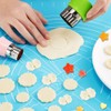 31 Pcs Vegetable Fruit Cutters Shapes Set, 20 Pcs Stainless