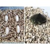 20QT Organic Vermiculite Granules for Plants and Gardening