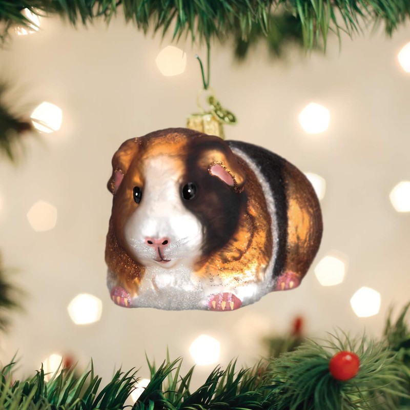 Old World Christmas Guinea Pig