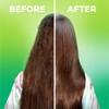 Garnier Fructis Sleek & Shine 10-in-1 for Frizzy, Dry Hair,