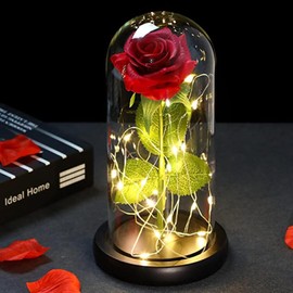 Kit de Rosas Flor Artificial con Luces led,Rosa Eterna en Cúpula de Acrílico con Base Plástico,Regalo de Rosa Artificiales para Mujeres para Día de Madre,Cumpleaños,Aniversario,San Valentín,Año Nuevo