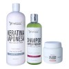 Kit Japonesa Silver 1l, Sellador 250ml, Shampoo Lp 500ml