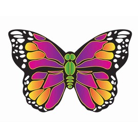 X Kites SuperWings™ Butterfly Nylon Butterfly Kite, 50 Inches Wide