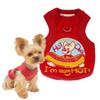 YorkieGogo Handmade Tiny Pet Clothes, Baby-Soft Sweater Shirts for Newborn/Teacup