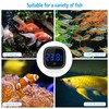 Brifit Aquarium Thermometer Digital, Glue-On Mini Thermometer Aquarium, LED Display