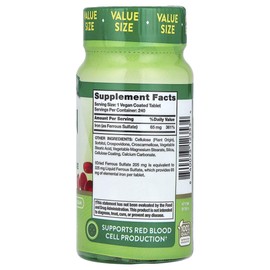 네이처스트루스 황산제일철 철분 IRON 아이언 65mg 코팅 정제 240정 Nature's Truth Iron Ferrous Sulfate 65mg Coated Tablets 240 Count