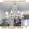 Dimmable E12 Chandelier Light Bulbs 60 Watt, Frosted Candelabra LED
