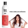 Shampoo Reparador The Fixer Pro You | Para Cabellos Dañados