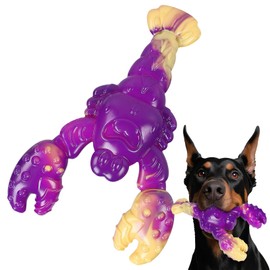 Mapneng Indestructible Dog Toys for Aggressive Chewers, Durable Nylon Chew Toys with Beef Flavour, Teeth Cleaning Bumps & Peanut Butter Slots for Medium/Large Breed Dogs (Lobster)