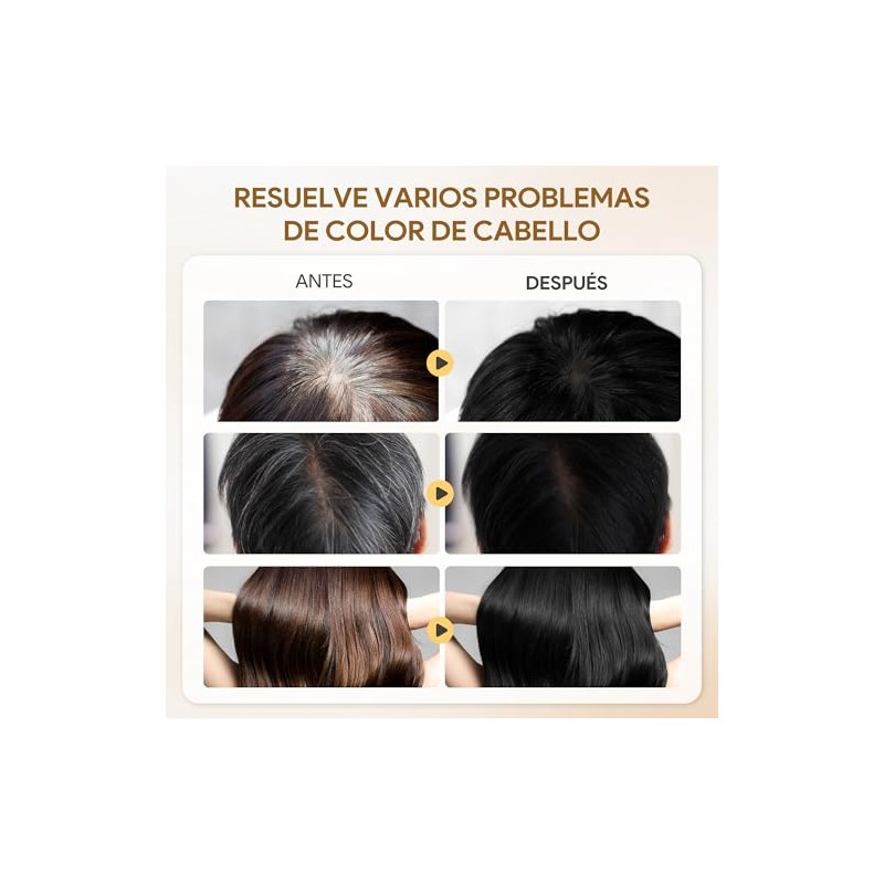 Black Hair Dye Shampoo 3 in 1, Shampoo para Canas