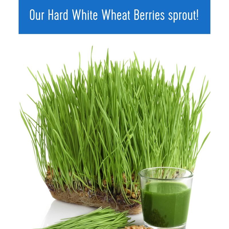 Palouse Brand Certified Glyphosate Residue Free Hard White Wheat Berries