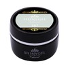 SHINYGEL Professional Shiny Gel Professional Color Gel 187/Pail Salor, 0.2