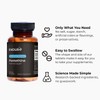 Endur Pantethine from Pantesin, Liver Function & Healthy Cholesterol Balance