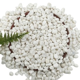 15LB White Gravel for Succulents and Cactus, 0.6 Inch Natural Unpolished Crushed River Rocks for Plants, Vases, Aquariums, Terrariums, Planters, Outdoor Gardening & Landscaping Decorative Stones
