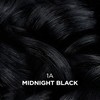 Clairol Professional Beautiful Collection Advanced Gray Solutions, 1A Midnight Black,