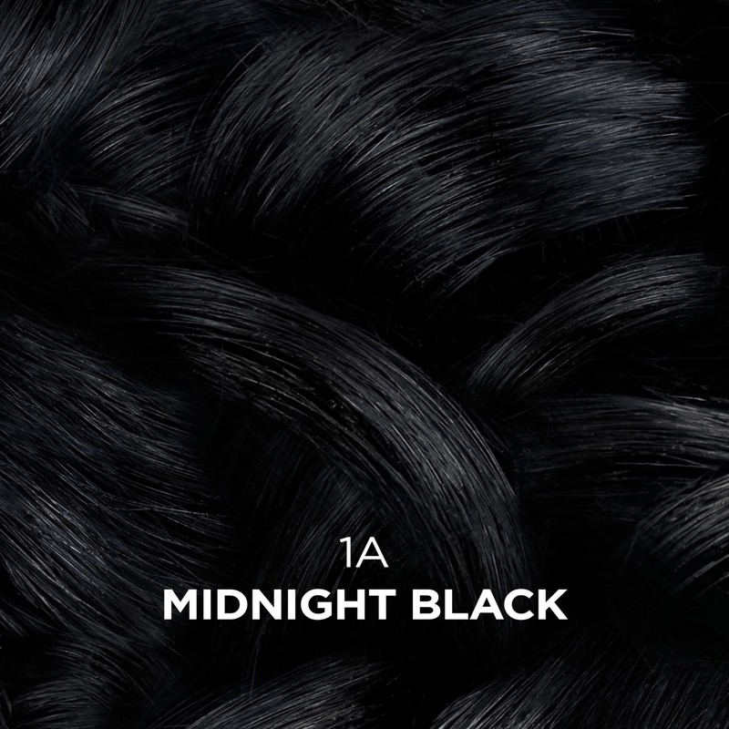 Clairol Professional Beautiful Collection Advanced Gray Solutions, 1A Midnight Black,