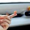 YGMONER 9 Pcs Mini Capybara Car Dashboard Figurine Decoration Cute