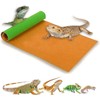 Tfwadmx 4 Pcs Reversible Reptile Carpet 11.8" x 19.7" Terrarium