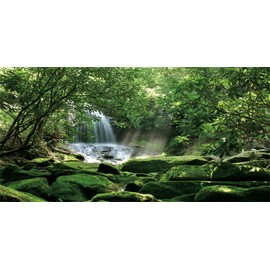 MIRRORANG 120 x 46 cm Forest Terrarium Background Tropical Rainforest Reptiles Habitat Background Stone Sunny Waterfall Aquarium Background Vinyl