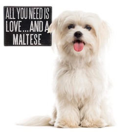 JennyGems Maltese Sign, Wooden - All You Need is Love and a Maltese, Maltese Moms, Maltese Lovers, Maltese Gifts, Maltese Accessories, Maltese Dogs, Shelf Knick Knacks