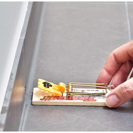 Celaflor Classic Mouse Traps - Pack of 2