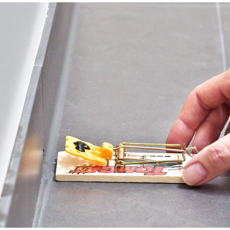 Celaflor Classic Mouse Traps - Pack of 2