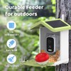 Solar Smart Bird Feeder with Camera with AI Identify Auto