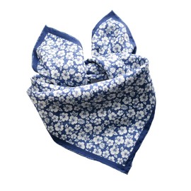 Prettystern Unisex Hand-Rolled Silk Neckerchief Silk Neckerchief for Men and Women, 01a Blue Flowers
