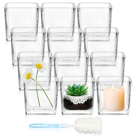 HWASHIN 12 Pack Square Glass Vases, 3” x 3” Clear Cube Glass Flower Vases, Mini Square Glass Vases Candle Holders with Sponge Brush for Centerpieces