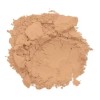 Polvo Conceal + Perfect Shine-proof Powder 05 Natural Beige