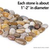 River Rock Stepping Stones, 6 Pcs 16" L x 5.5"