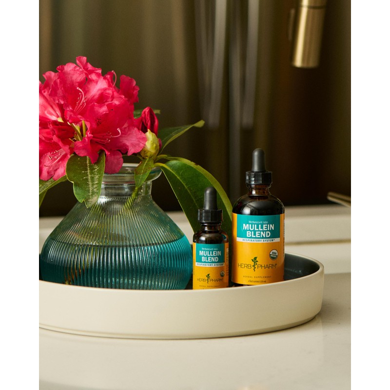 Herb Pharm Certified Organic Mullein Blend Liquid Extract for Respiratory