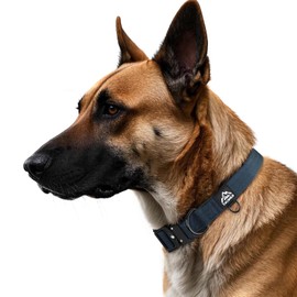 Tacwild Heavy Duty Dog Collars for Medium and Large Dogs - Adjustable, Chew Proof Nylon Collar with Metal Quick Release Buckle and D-Ring for Dog Tags (Navy Blue, S)