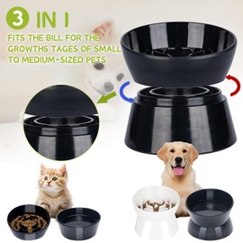 F FD Hub Tilted Raised Slow Feeder Bowl for Cats and Small & Medium Dogs, Raised Design Improves Posture, Spiral Inner Shape Prevents Fast Eating, Dishwasher Safe, 10 oz (Blue, M-Dogs)