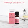 Tisserand Aromatherapy - Geranium Essential Oil - Ethically Harvested -