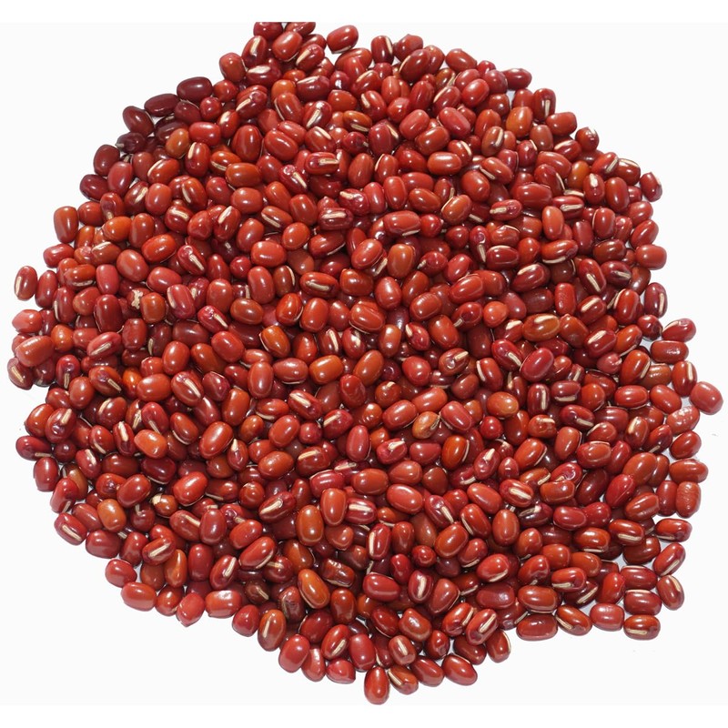 Hokkaido Toyomi Dainagon Azuki bean Azuki bean Azuki Dainagon Azuki