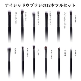 MSQ Eye Makeup Brushes 12pcs Eye Shadow Makeup Brush Set Eyeshadow,Eyebrow,Eyeliner,Blending Eyeshadow Tip Set,Fine Makeup Brushes for Glamorous Eyes (Black)