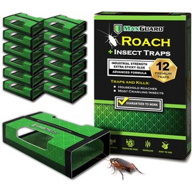 MaxGuard Roach + Spider Traps (12 Per Box) Non-Toxic Extra Sticky Box Traps | Kill German Cockroach, American and Oriental Plus Crawling Bugs & Insects House