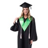 Zanzike Graduation Honor Cord with Tassel, Pink, Terylene, Graduation, Academic,