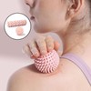 Niaciswe Fascia Roller Set of 2 Foam Roller Foam Roller