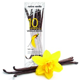 Native Vanilla Grade B Tahitian Vanilla Beans – 10 Total Premium Extract Whole Pods – For Chefs and Home Baking, Cooking & Extract Making – Homemade Vanilla Extract