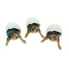 Globe Imports Baby Sea Turtles Hatching from Eggs Mini Figurines,