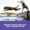 Grizzly Pet Products Omega Health Liquid Omega-3 Supplement for Dogs