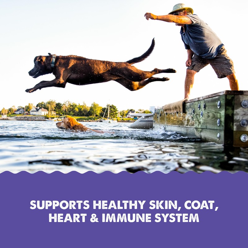 Grizzly Pet Products Omega Health Liquid Omega-3 Supplement for Dogs